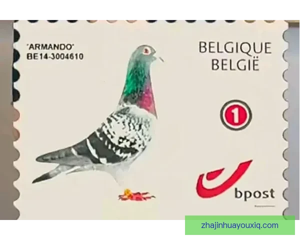 公马吉利根12-1图洛伊全程解析与赛绩走势深度研究